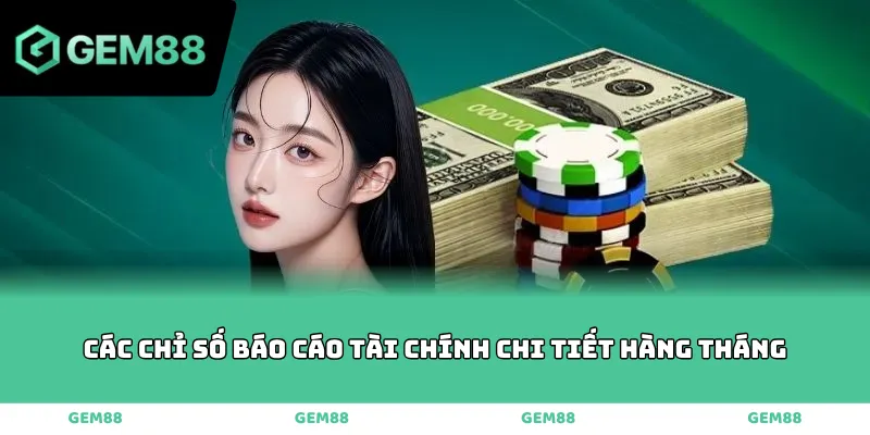 Các chỉ số báo cáo tài chính chi tiết hàng tháng